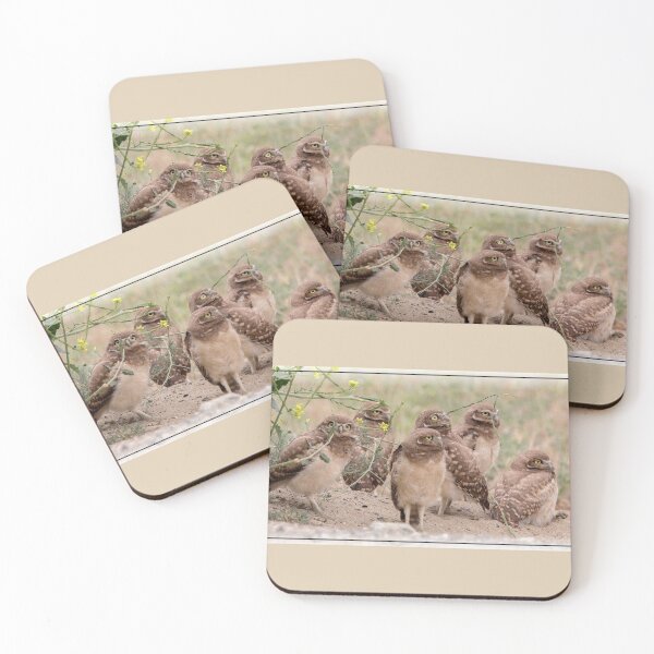Item preview, A Burrowing Owl Family Portrait   designed and sold by CarolM.