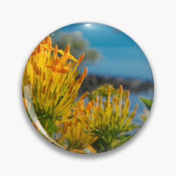 Item preview, Whitsundays, Australia designed and sold by Anthony Macaluso.