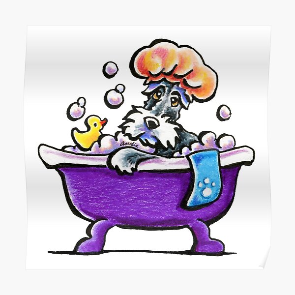 Schnauzer Bath Time Poster