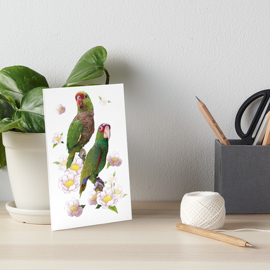 "Amazon parrots" Art Board Print for Sale by obscurite Redbubble
