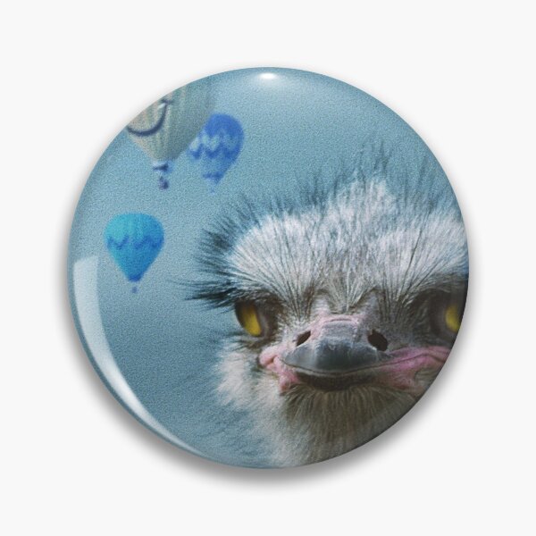 Item preview, Ostrich and Balloons Whimsical Photo designed and sold by DEC02.