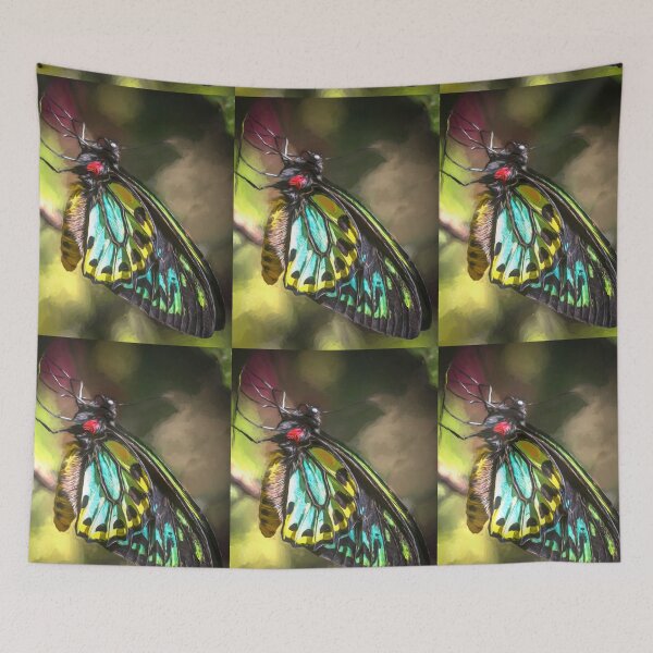 Item preview, Beautiful Birdwing Butterfly designed and sold by Annette63.