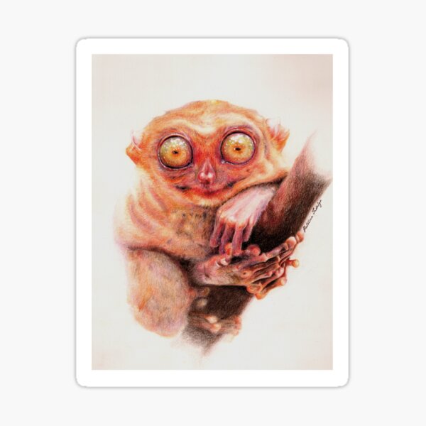 Tarsier Sticker