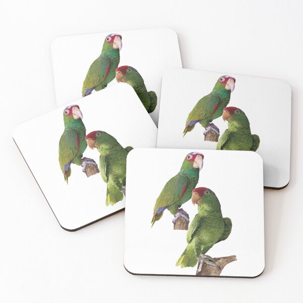 Item preview, Amazon parrots designed and sold by obscurite.