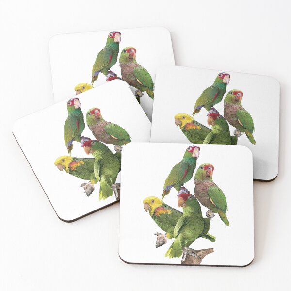 Item preview, Amazon parrots designed and sold by obscurite.