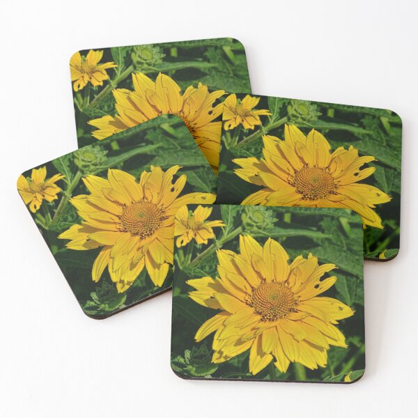 Item preview, Heliopsis, Eastern Sunflower Everlasting designed and sold by Lynney.