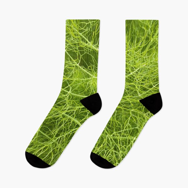 Item preview, Green Fennel Plant designed and sold by KsbAesthetics.