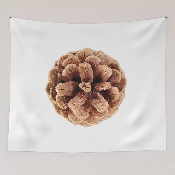 Item preview, Pine cone,pinecone, photo, conifer, evergreen tree, pine tree, mature designed and sold by Nostrathomas66.