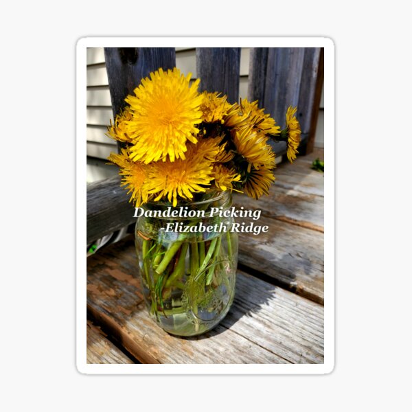 Dandelion Picking Cover Sticker
