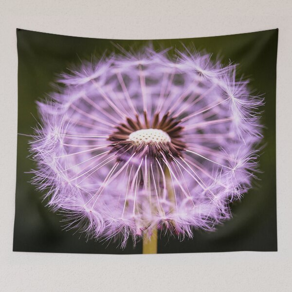 Item preview, dandelion photo, weed designed and sold by Nostrathomas66.