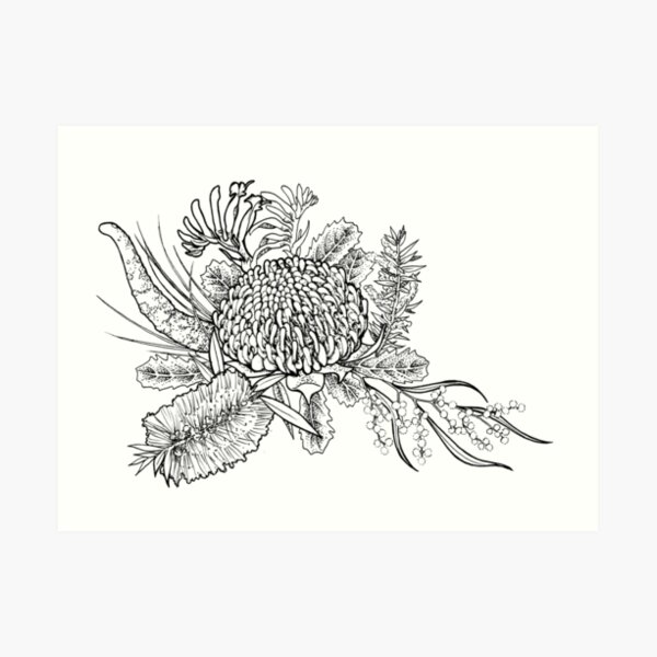 "Australian Native Flowers" Art Print for Sale by CharliFaure Redbubble