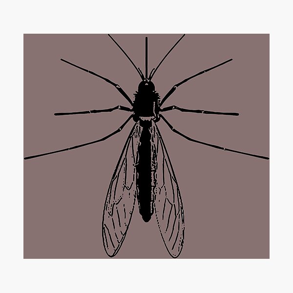 Item preview, Mosquito  designed and sold by MaritaChustak.
