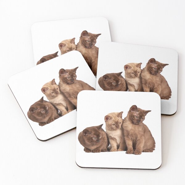 Item preview, Three cute kittens designed and sold by Mrdonut19.