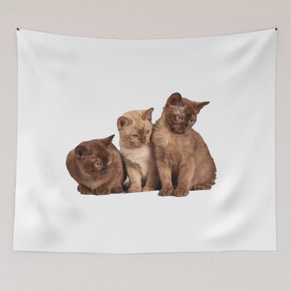 Item preview, Three cute kittens designed and sold by Mrdonut19.