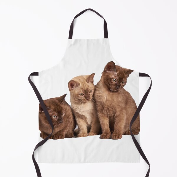 Item preview, Three cute kittens designed and sold by Mrdonut19.