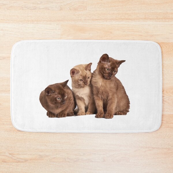 Item preview, Three cute kittens designed and sold by Mrdonut19.