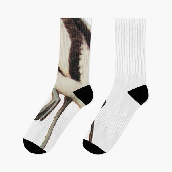 Item preview, American Avocet Wading For Food designed and sold by laguitan10.