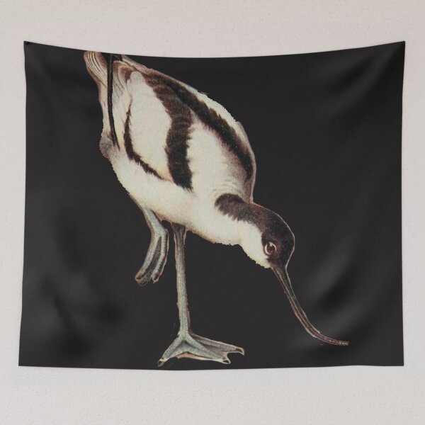 Item preview, American Avocet Wading For Food designed and sold by laguitan10.