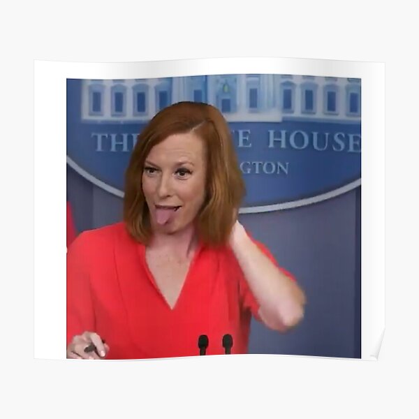 Jen Psaki Vs Fly Poster By Grellendraws Redbubble 2375