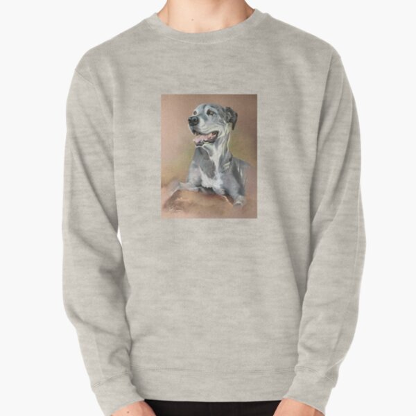 Deesy Pullover Sweatshirt