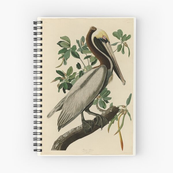 Item preview, 251 Brown Pelican designed and sold by Bird-Lore.