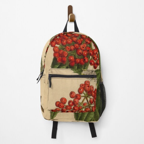 Item preview, Viburnum betulifolium 142 8672 designed and sold by EsotericBotanic.