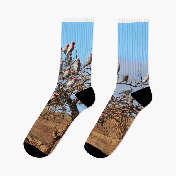 Item preview, Galahs, Outback South Australia, Australia designed and sold by FranWest.
