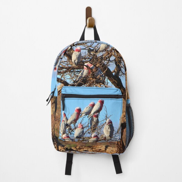 Item preview, Galahs, Outback South Australia, Australia designed and sold by FranWest.