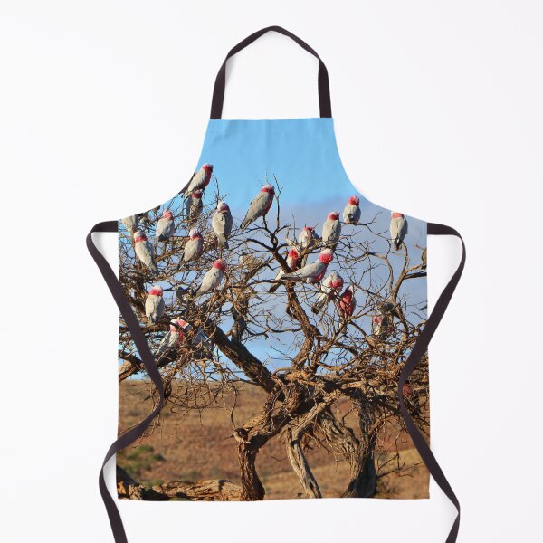 Artikelvorschau, Galahs, Outback South Australia, Australien entworfen und verkauft von FranWest.