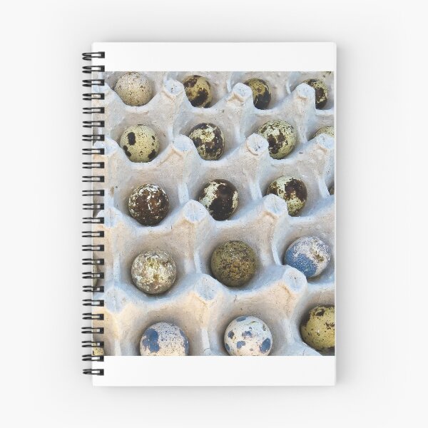 Item preview, quail eggs- Vinales, Cuba designed and sold by David Chesluk.