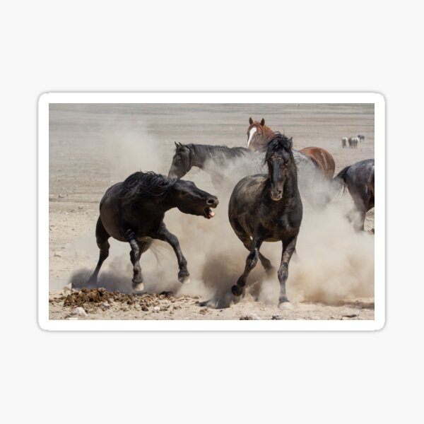 Wild Horse Wars Sticker
