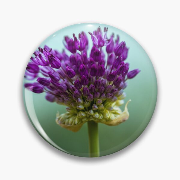 Item preview, Allium designed and sold by A-J-Designz.