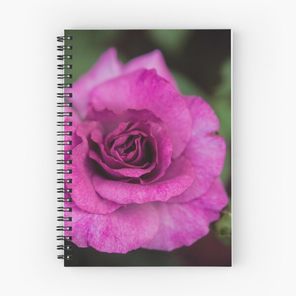 Item preview, Lavender Rose designed and sold by Cathy Donohoue.