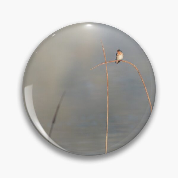 Item preview, Welcome swallow designed and sold by nadine henley.