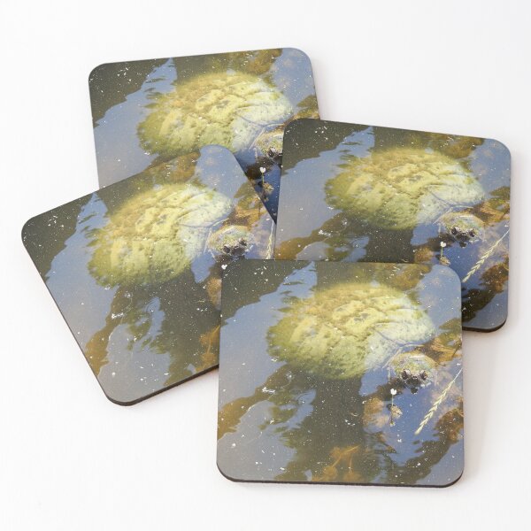 Item preview, Snapping Turtle designed and sold by RoseBumblebee.
