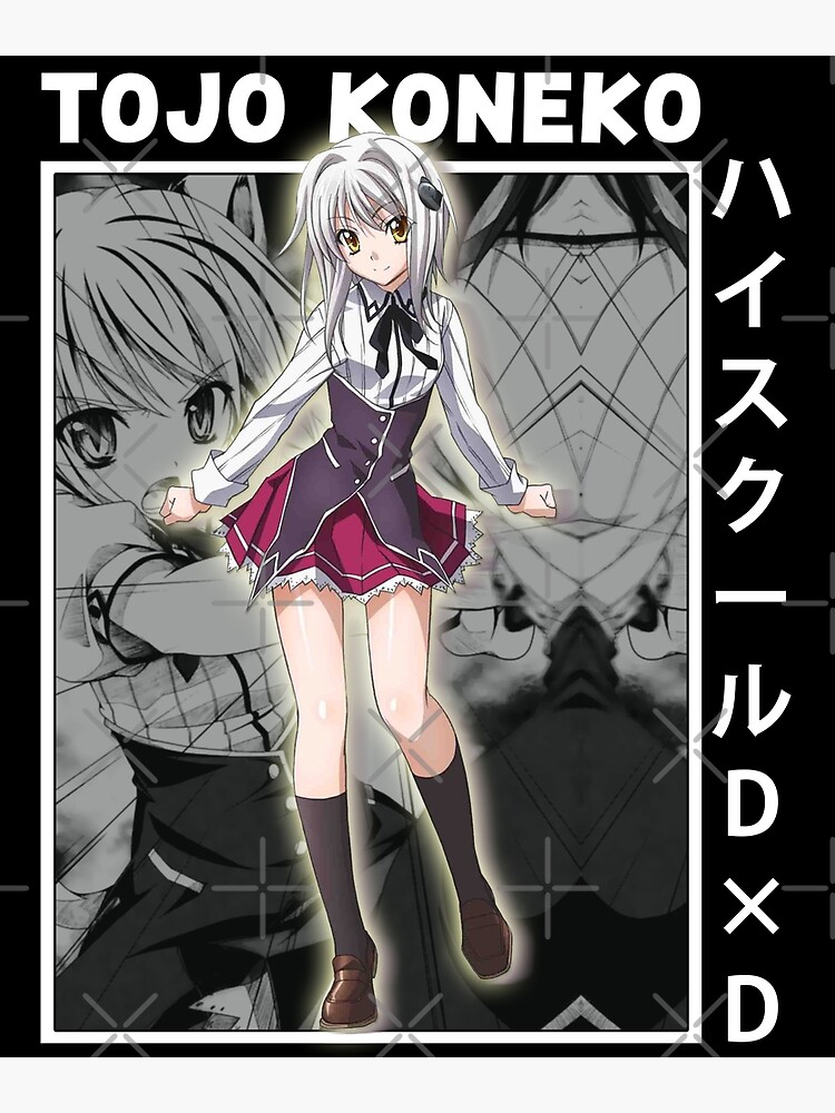 Otaku Crazy: Novos personagens de High School DxD New!