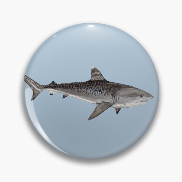 Item preview, TIGER SHARK-Galeocerdo cuvier (light blue) designed and sold by BEATRIZ ABAITUA.