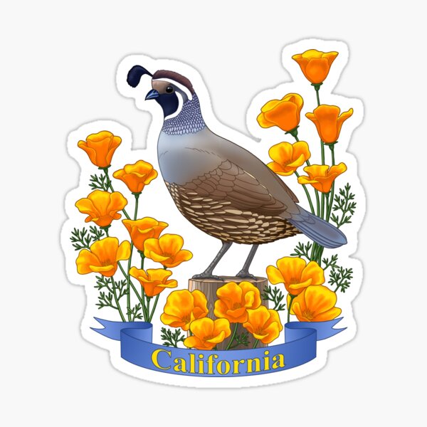 Item preview, California State Bird and Flower Quail and Golden Poppy designed and sold by csforest.