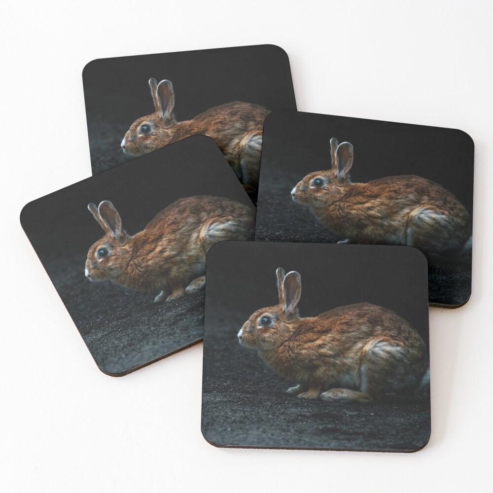 Item preview, Coasters (Set of 4) designed and sold by shopwander.