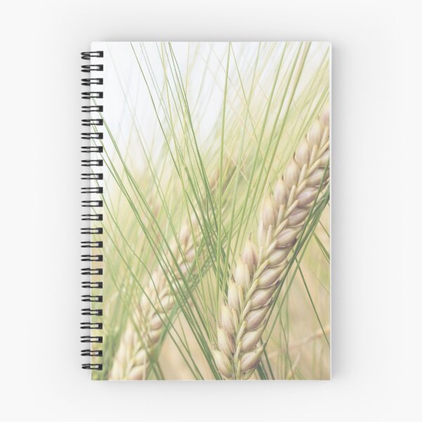 Item preview, Barley designed and sold by Graham  Custance.