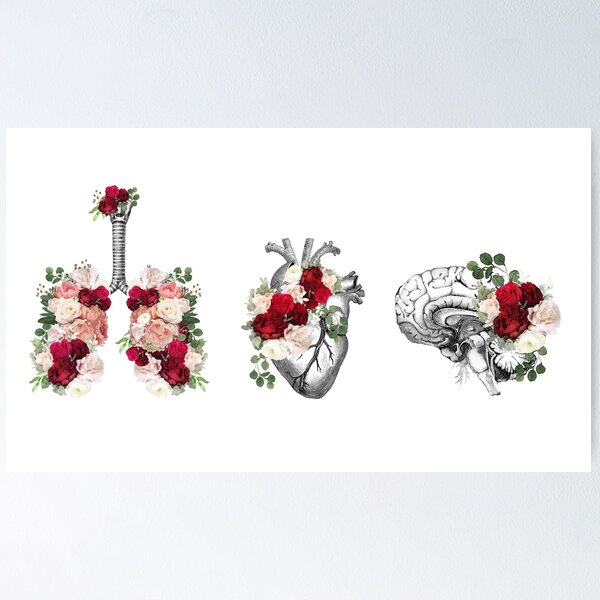Item preview, Heart, brain and lungs, floral anatomy with roses and flowers, art and anatomy with botanical elements designed and sold by Collagedream.