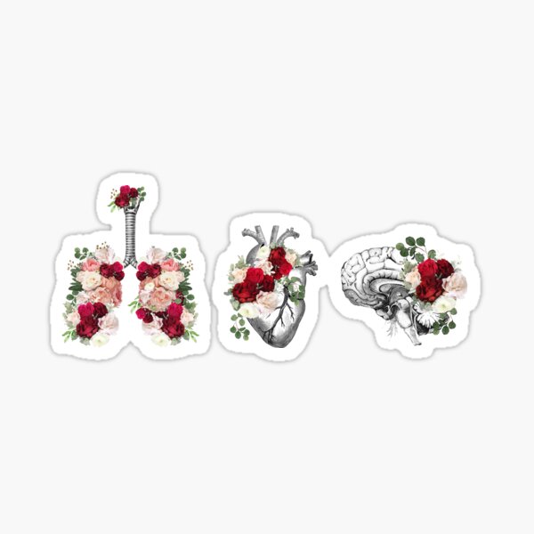 Item preview, Heart, brain and lungs, floral anatomy with roses and flowers, art and anatomy with botanical elements designed and sold by Collagedream.