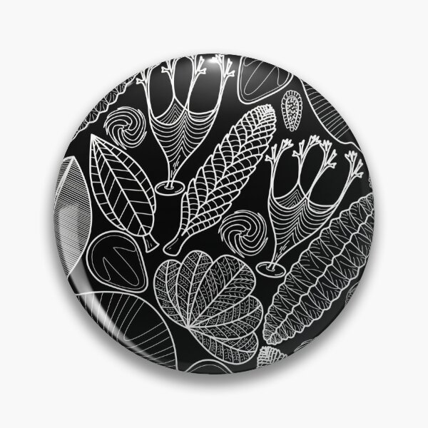 Item preview, Ediacaran Fossils from around the world designed and sold by Project-Palaeo.