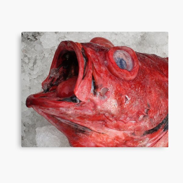 Item preview, red rock cod designed and sold by David Chesluk.