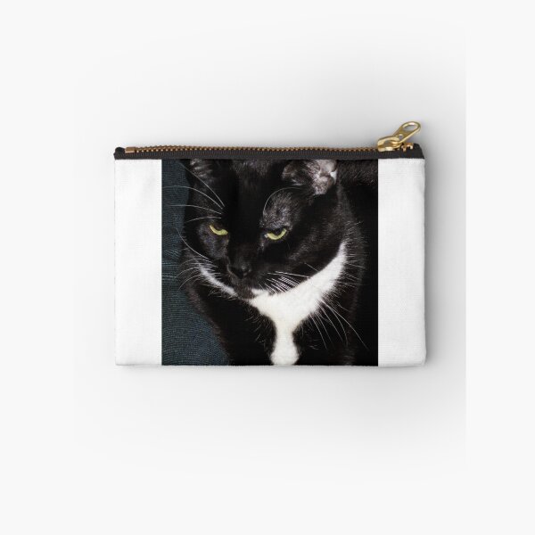 Item preview, Eartha the cat designed and sold by David Chesluk.