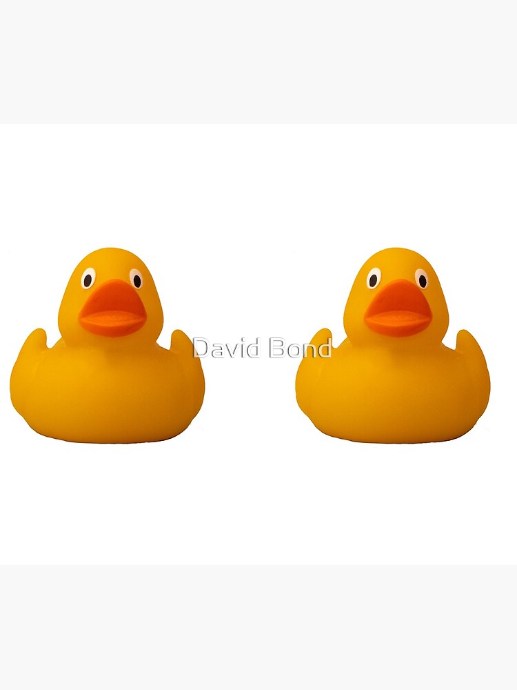 Photograph of a rubber duck against a plain background by DaveBond