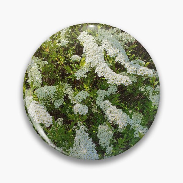 Item preview, Beautiful Blossoming White Spiraea designed and sold by ckylin.