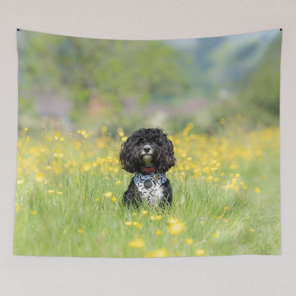 Item preview, Cavapoo in a Meadow designed and sold by Jane Stanley Photography.