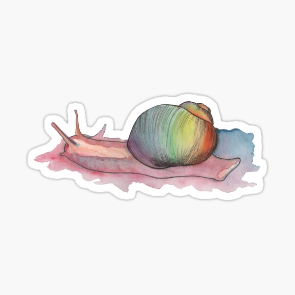 Die Weinbergschnecke mit dem Regenbogenhaus Sticker