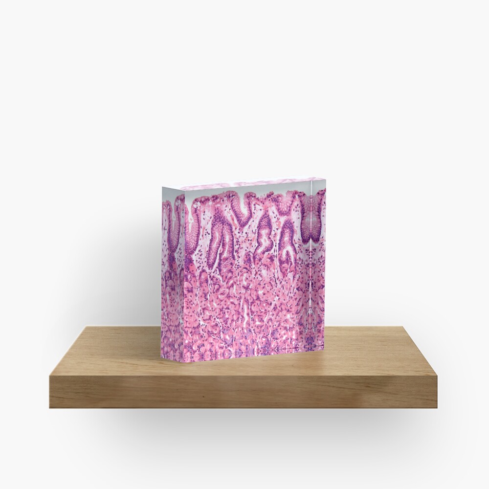 Aperçu de l'œuvre Bloc acrylique créée et vendue par deltoid.